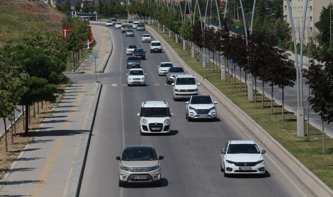 Türkiye İstatistik Kurumu Başkanlığı (TÜİK) Motorlu Kara Taşıtları, Ocak 2025