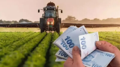 Tarım ve Orman Bakanlığı tarafından ilimize geçen yıl 537 milyon
