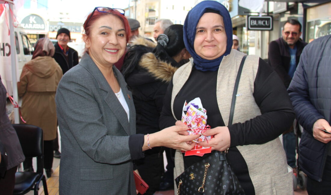 Cumhuriyet Halk Partisi (CHP) Kadın Kolları tarafından 8 Mart Dünya