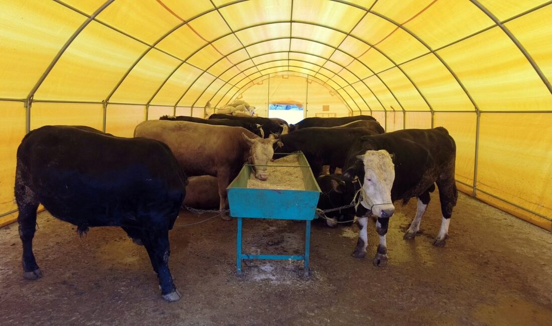 Kurban Kesim Ücretleri Belirlendi Çankırı Belediyesi, yaklaşan Kurban Bayramı dolayısı ile kurban kesim ücretlerini