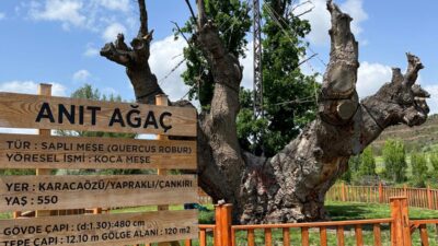 Vali M. Fırat Taşolar ve beraberindeki heyetin geçtiğimiz yıl  Kasım