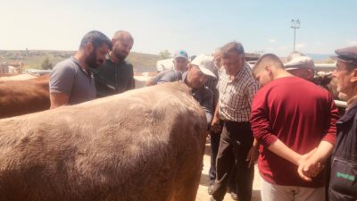 &nbsp; Çankırı Belediyesi Hayvan Pazarında eski  kurban bayramı canlılığından eser