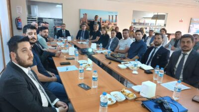 İlimiz genelinde hastanelerde kullanılan otomasyon programında yaşanan aksaklıkların değerlendirilmesi, hasta