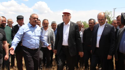 Çankırı’da konuşan TZOB Başkanı Şemsi Bayraktar, “Çankırı’da don felaketinden dolayı