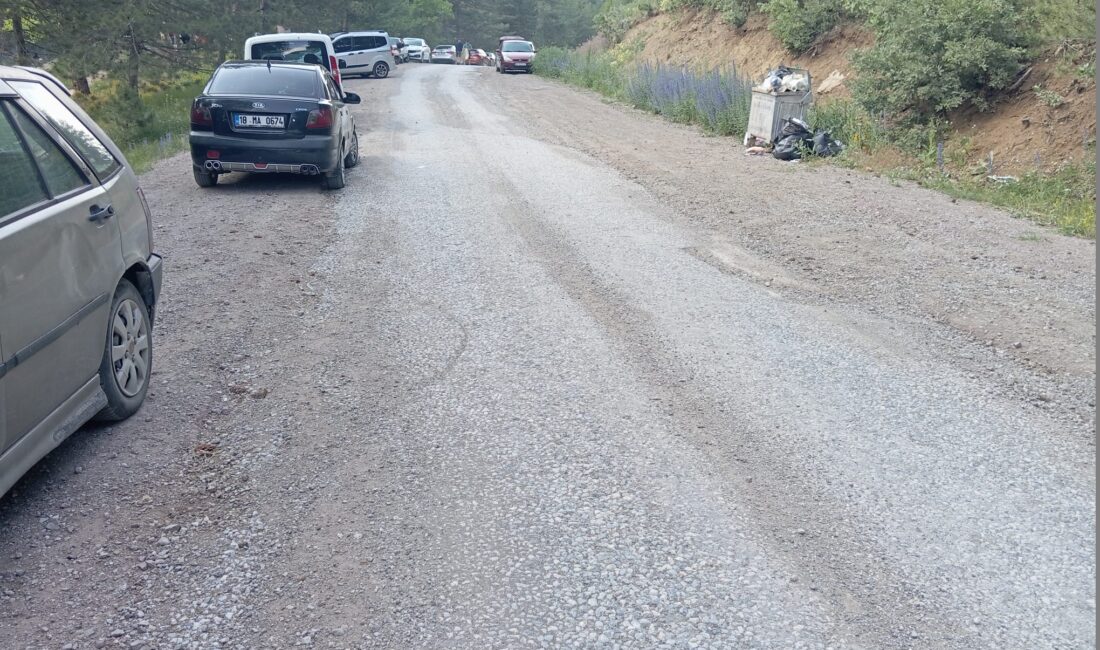 Piknikçilerin vazgeçilmezi ve doğa harikası Bülbül Pınarı yolu kevgire dönmüş