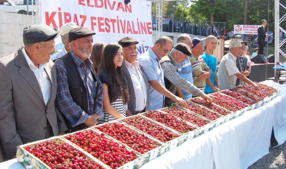 31. Eldivan Kiraz Festivali yapılacak Çankırı’nın kirazıyla meşhur ilçesi Eldivan’da 27-29 Haziran tarihleri arasında 31.