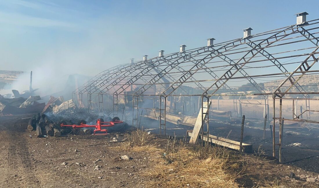 Saçak’ta çıkan yangında 100 dekar ekili arazi zarar gördü, çok sayıda hayvan öldü Çankırı’nın Çerkeş ilçesine bağlı Saçak beldesinde çıkan yangında yaklaşık 100