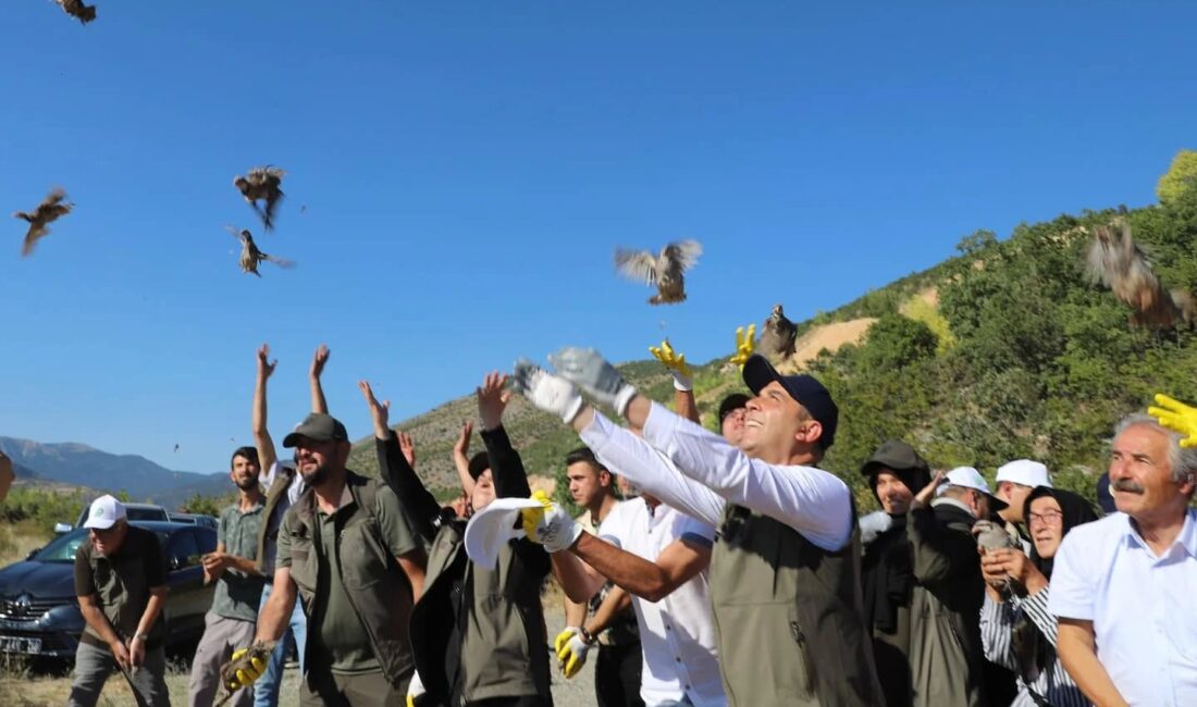 600 kınalı keklik doğaya bırakıldı Çankırı’da yaban hayatının korunması ve doğal dengeyi desteklemek amacıyla doğaya