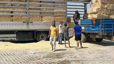 Çankırı’nın Yapraklı ilçesindeki çiftçiler, Karabük’te devam eden yangın nedeniyle çiftçilerin