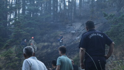Çankırı’nın Yapraklı ilçesine bağlı Sarıkay köyü ormanlık alanında çıkan yangın,