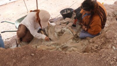 Çankırı’da Çorakyerler Omurgalı Fosil Lokalitesi’nde yürütülen kazı çalışmalarında 2 metrekarelik