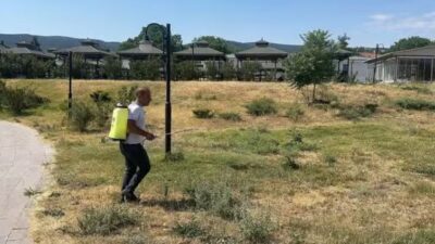 Çankırı’nın Eldivan ilçesinde belediye ekiplerince, kene vakaları yaşanmaması için ilaçlama