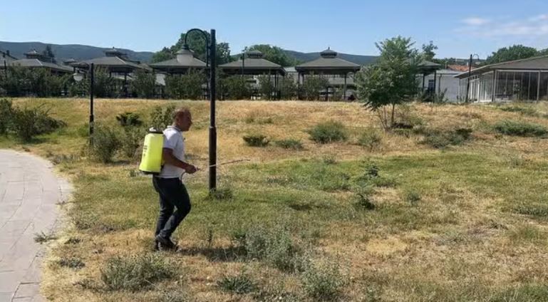 Çankırı’nın Eldivan ilçesinde belediye ekiplerince, kene vakaları yaşanmaması için ilaçlama