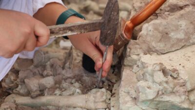 Çankırı’da en eskisi 9 milyon yıl öncesine tarihlendirilen fosillerin bulunduğu