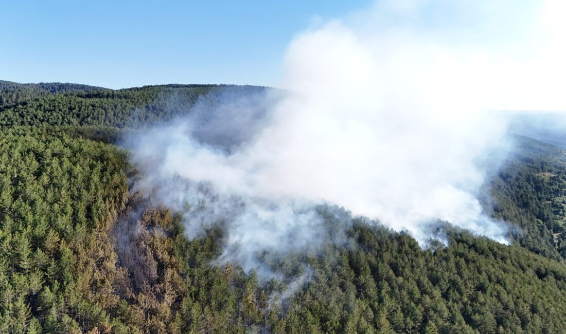 Ilgaz’daki yangın kontrol altına alındı Çankırı’nın Ilgaz ilçesinde dün saat 15:00’te çıkan yangın, akşam 21:30’da
