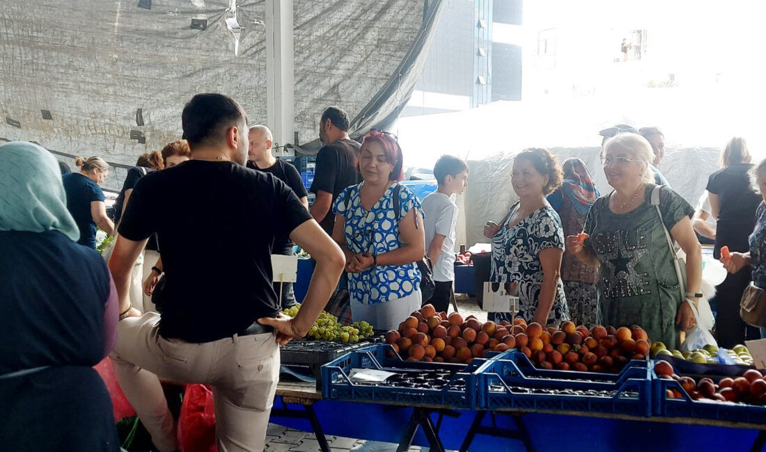 CHP kadın kolları çarşı pazarda Cumhuriyet Halk Partisi İl Kadın Kolları çarşamba günleri çarşamba pazarında,