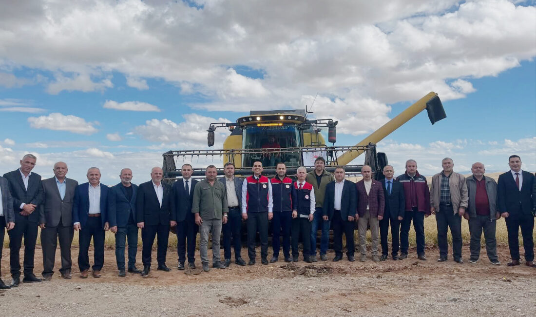 Kızılırmak’ta çeltik hasadı Pirinciyle meşhur Çankırı’nın Kızılırmak ilçesinde 2025 yılı çeltik hasat töreni