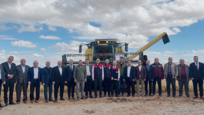 Pirinciyle meşhur Çankırı’nın Kızılırmak ilçesinde 2025 yılı çeltik hasat töreni