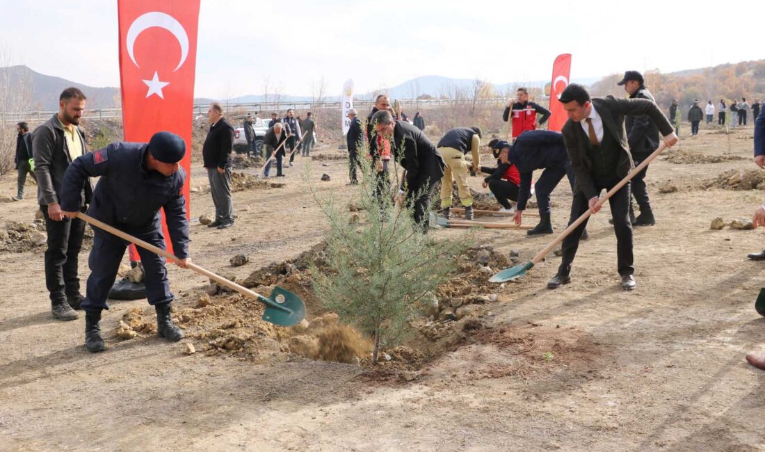 Ilgaz’da 400 fidan toprakla buluştu 11 Kasım Milli Ağaçlandırma Günü nedeniyle Ilgaz Orman İşletme Müdürlüğü
