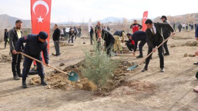 11 Kasım Milli Ağaçlandırma Günü nedeniyle Ilgaz Orman İşletme Müdürlüğü