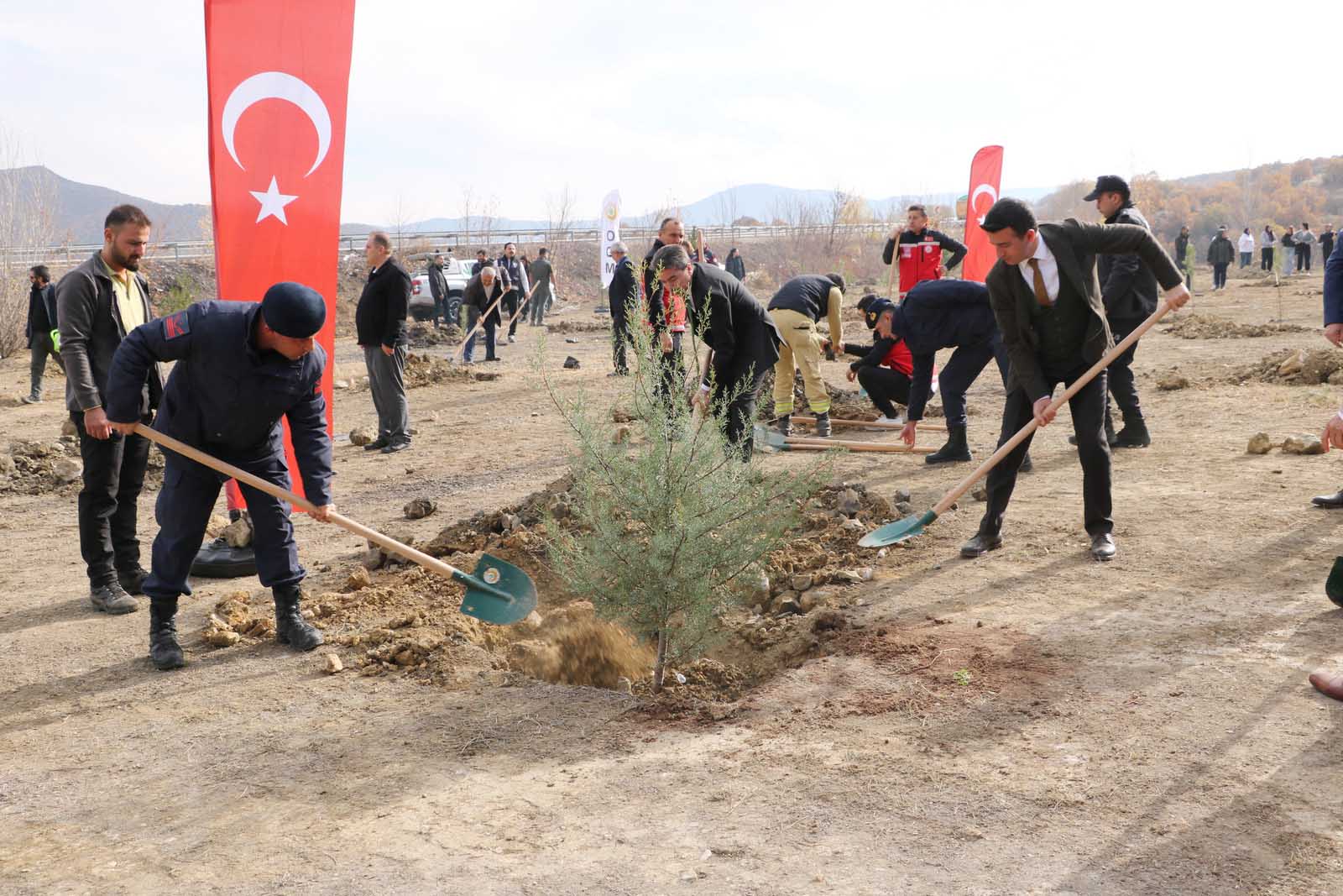 11 Kasım Milli Ağaçlandırma Günü nedeniyle Ilgaz Orman İşletme Müdürlüğü