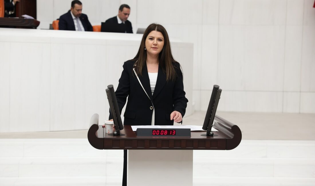 Milletvekili Pelin Yılık, Ulaştırma ve Alt Yapı Bakanlığı’nın bütçe görüşmeleri