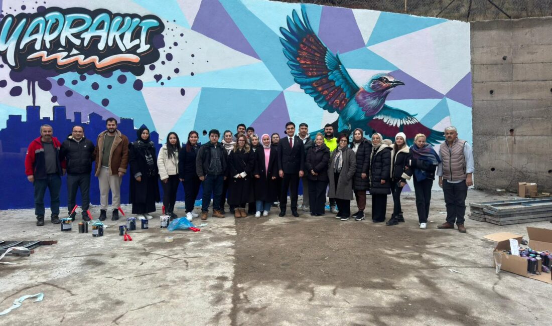 Yapraklı İlçe Halk Kütüphanesi, Çankırı Karatekin Üniversitesi Sanat, Tasarım ve
