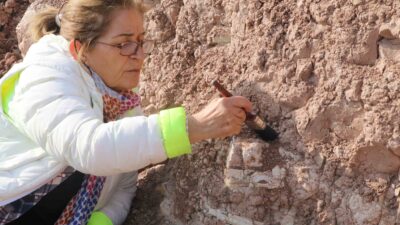  Çorakyerler Kazı Başkanı Prof. Dr. Ayla Sevim Erol: 2025 yılı