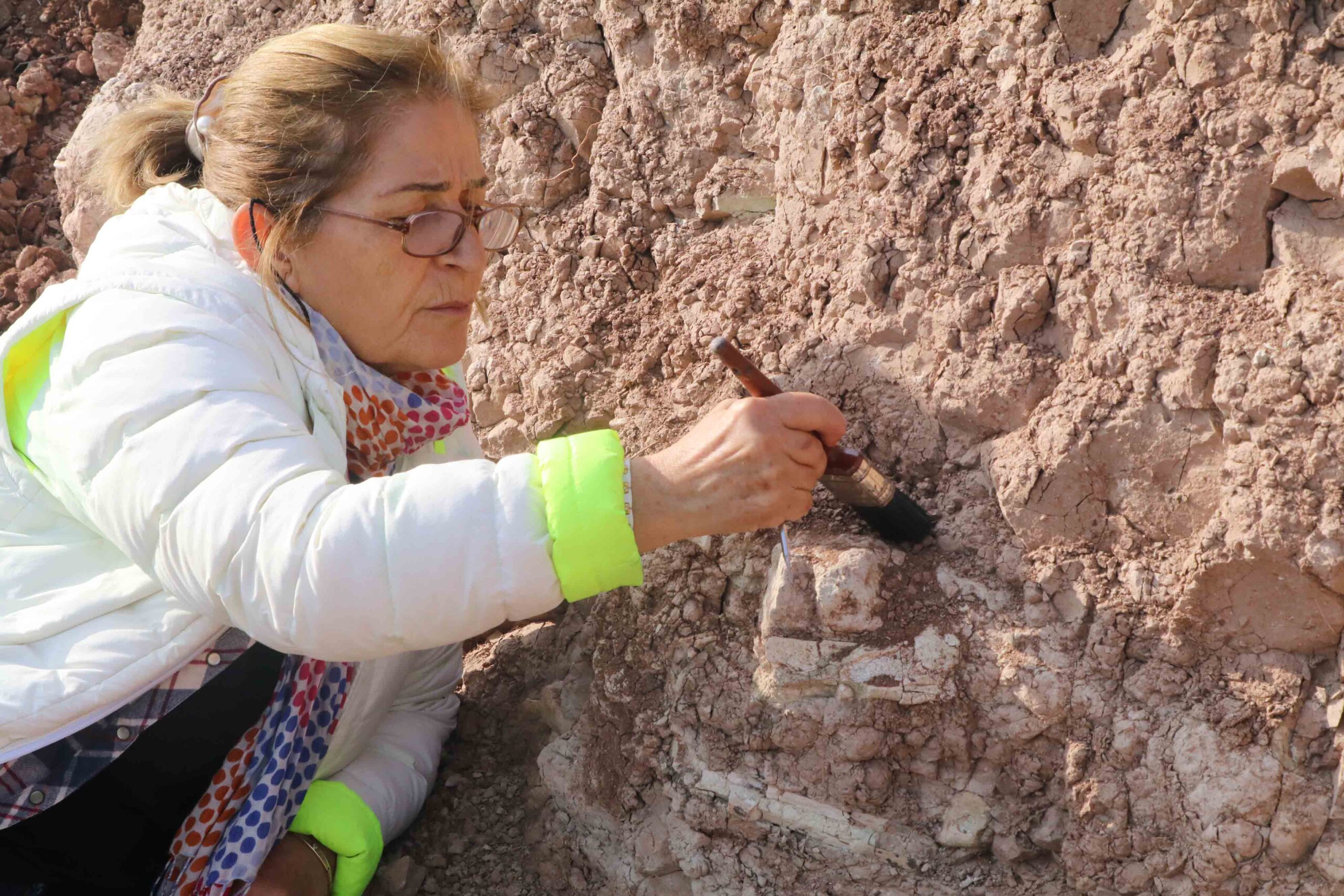  Çorakyerler Kazı Başkanı Prof. Dr. Ayla Sevim Erol: 2025 yılı