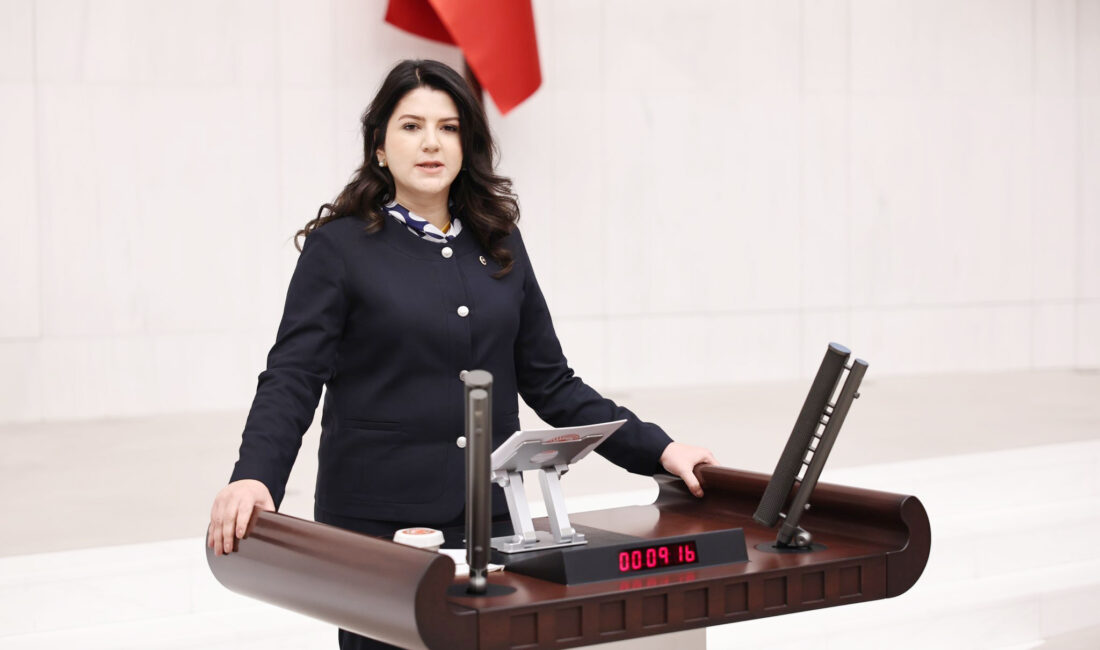 MHP Çankırı Milletvekili Pelin Yılık, mecliste yaptığı konuşmada, Çankırı Lisesi