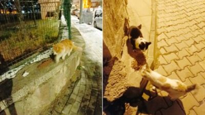 Çankırı El Ele Sosyal Yardımlaşma ve Dayanışma Derneği havaların iyice