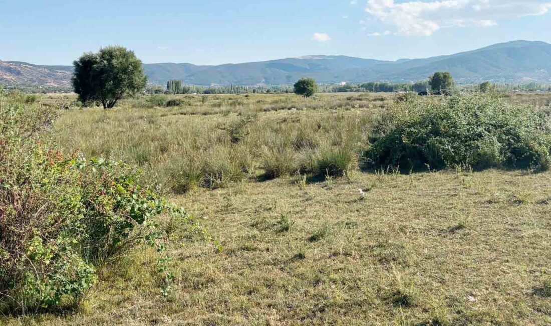 Eldivan’a yapılması planlanan “Tarıma Dayalı İhtisas Sera Organize Sanayi Bölgesi” meclise taşındı Çankırı’nın Eldivan ilçesine kurulması planlanan “Tarıma Dayalı İhtisas Sera Organize