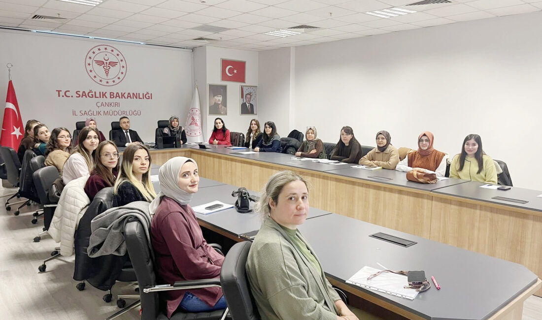 Çankırı genelinde yürütülen gebe, lohusa ve yenidoğan izlem hizmetlerinin değerlendirilmesi