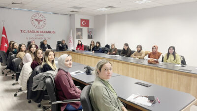 Çankırı genelinde yürütülen gebe, lohusa ve yenidoğan izlem hizmetlerinin değerlendirilmesi
