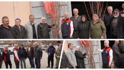 İl Tarım ve Orman Müdürlüğü tarafından yürütülen Kayısı Yetiştiriciliği Projesi