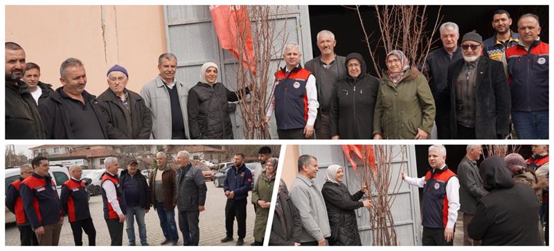 Kayısı Fidanları Toprakla Buluşuyor İl Tarım ve Orman Müdürlüğü tarafından yürütülen Kayısı Yetiştiriciliği Projesi