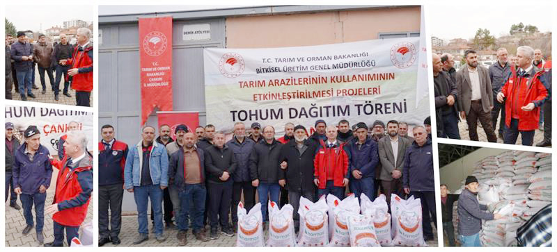 Çankırı’da 80 ton nohut tohumu dağıtıldı Tarım ve Orman Bakanlığı Bitkisel Üretim Genel Müdürlüğü tarafından “Tarım