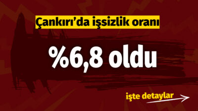 Türkiye İstatistik Kurumu (TÜİK) Başkanlığı tarafından 2025 yılı İşgücü İstatistikleri