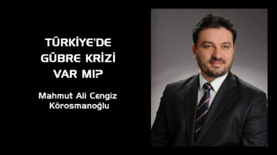 “Stoklar Yeterli, Peki Fiyatlar Neden Artıyor?” Dünya artık küçük bir