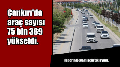 Türkiye İstatistik Kurumu Başkanlığı (TÜİK) Motorlu Kara Taşıtları, Şubat 2026