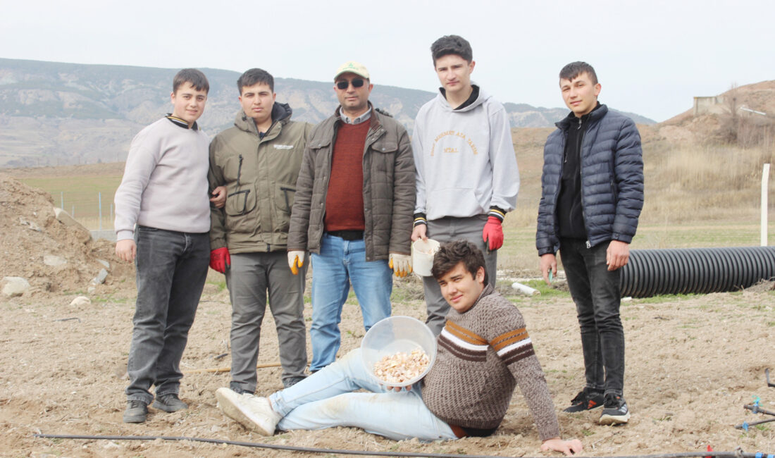 Şehit Mehmet Ata Tarım MTAL’de Sarımsak Ekimi Şehit Mehmet Ata Tarım Mesleki ve Teknik Anadolu Lisesi Tarla