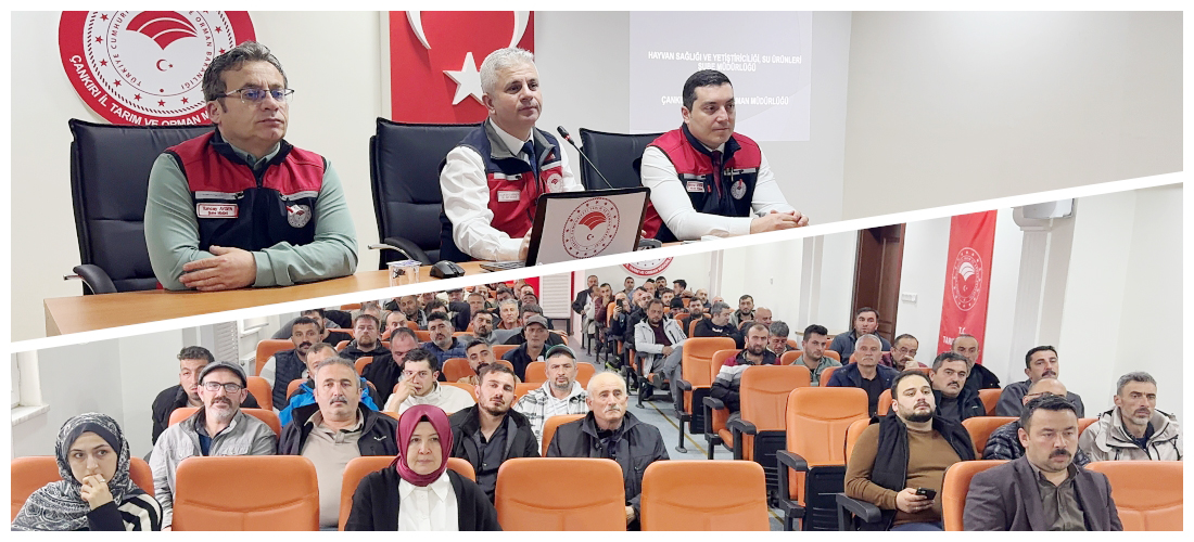İl Müdürlüğümüzde Canlı Hayvan Taşımacılığı Eğitimi Düzenlendi Çankırı Tarım ve Orman Müdürlüğü Hayvan Sağlığı ve Yetiştiriciliği Şube