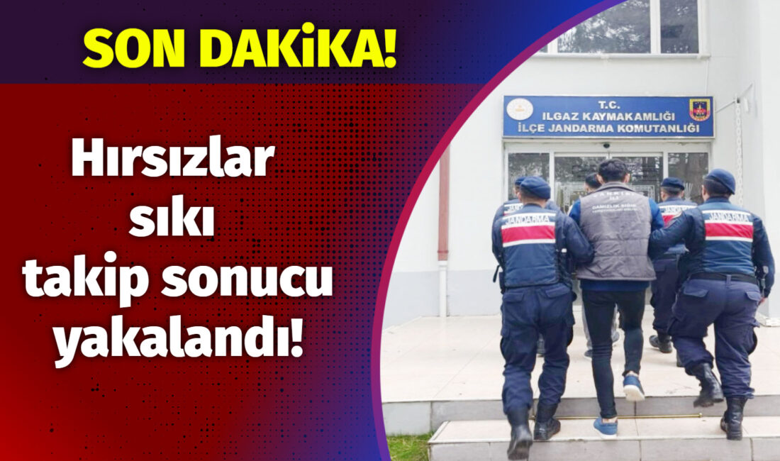 Çankırı Valiliği tarafından yapılan açıklamaya göre; Ilgaz’da meydana gelen hırsızlık