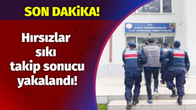 Çankırı Valiliği tarafından yapılan açıklamaya göre; Ilgaz’da meydana gelen hırsızlık