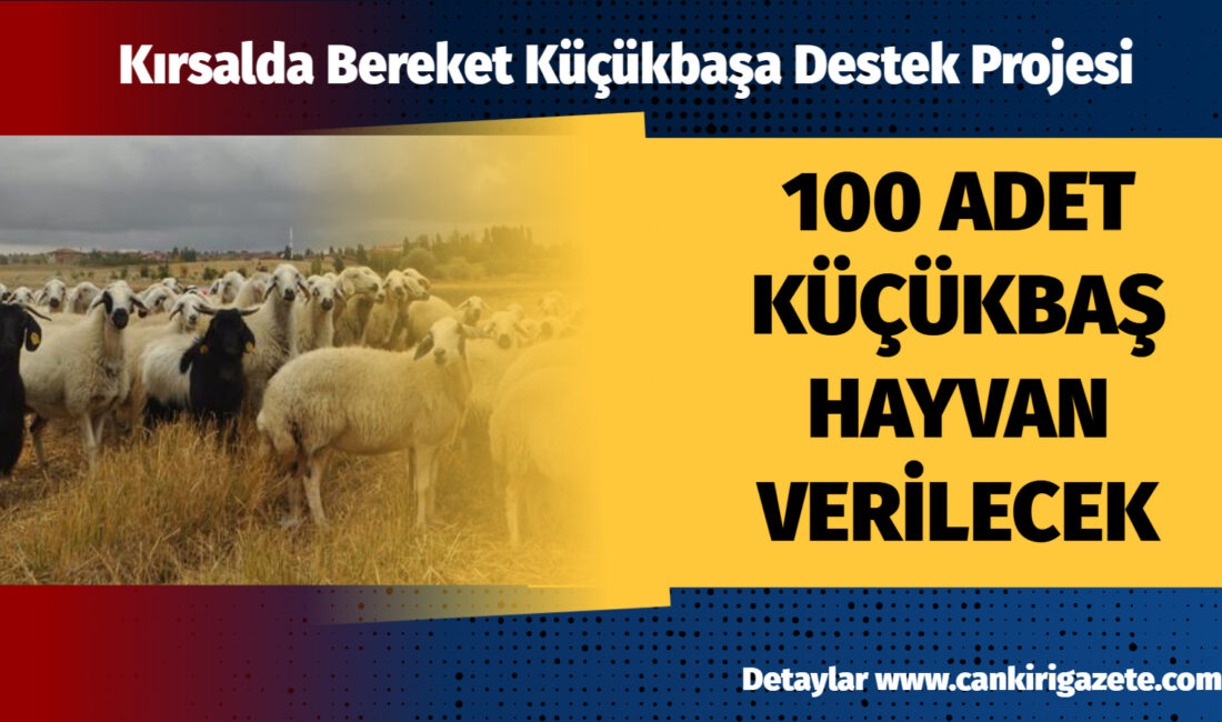 100 Küçükbaş Hayvan Verilecek Tarım ve Orman Bakanlığı, kırsalda üretimi canlandırmak ve yerel ekonomiyi