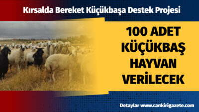 Tarım ve Orman Bakanlığı, kırsalda üretimi canlandırmak ve yerel ekonomiyi
