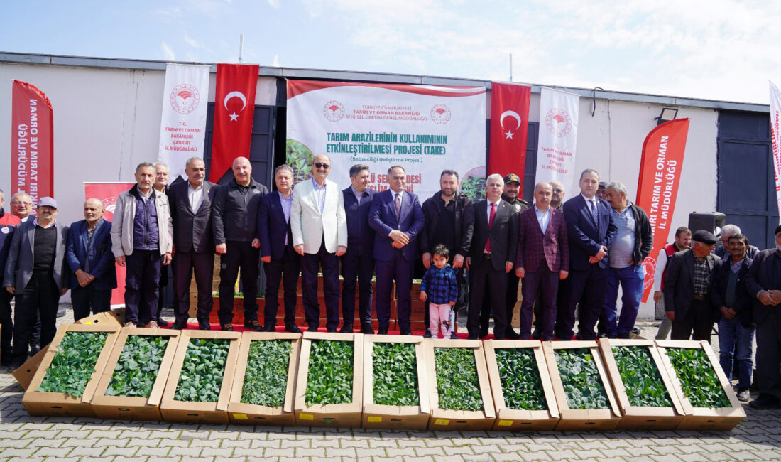 Sebze fidesi almayan kalmasın!.. Bir milyon fide dağıtılıyor