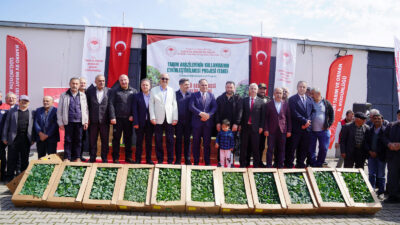 Bir milyon fide dağıtılıyor