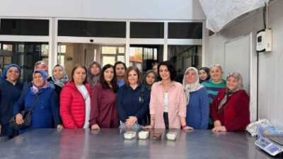 Halk Eğitim Merkezi bünyesinde açılan “Peynir ve Peynir Çeşitleri Yapımı