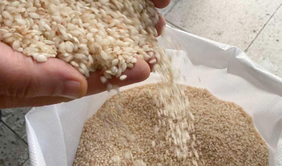 Ilgaz ve Tosya Belediyeleri Sarıkılçık princi konusunda karşı karşıya geldi.